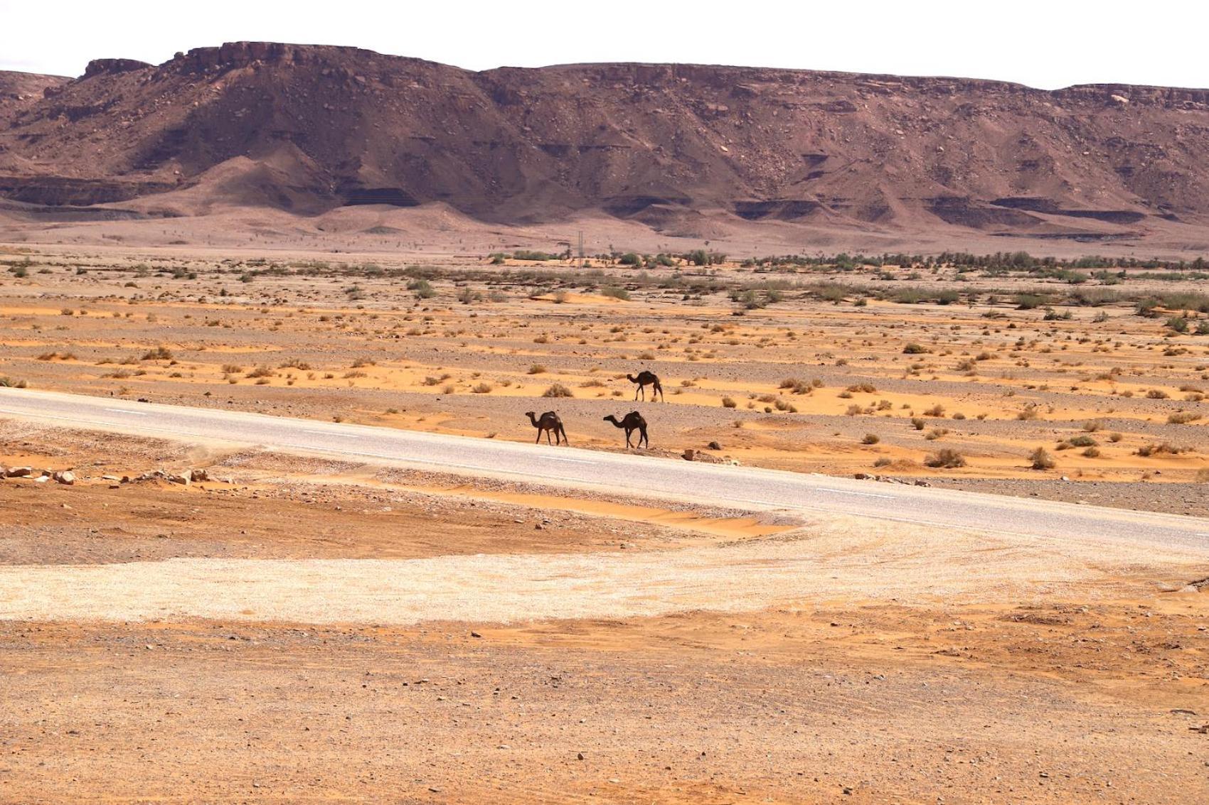 Porte De Sahara Ouzina Extérieur photo
